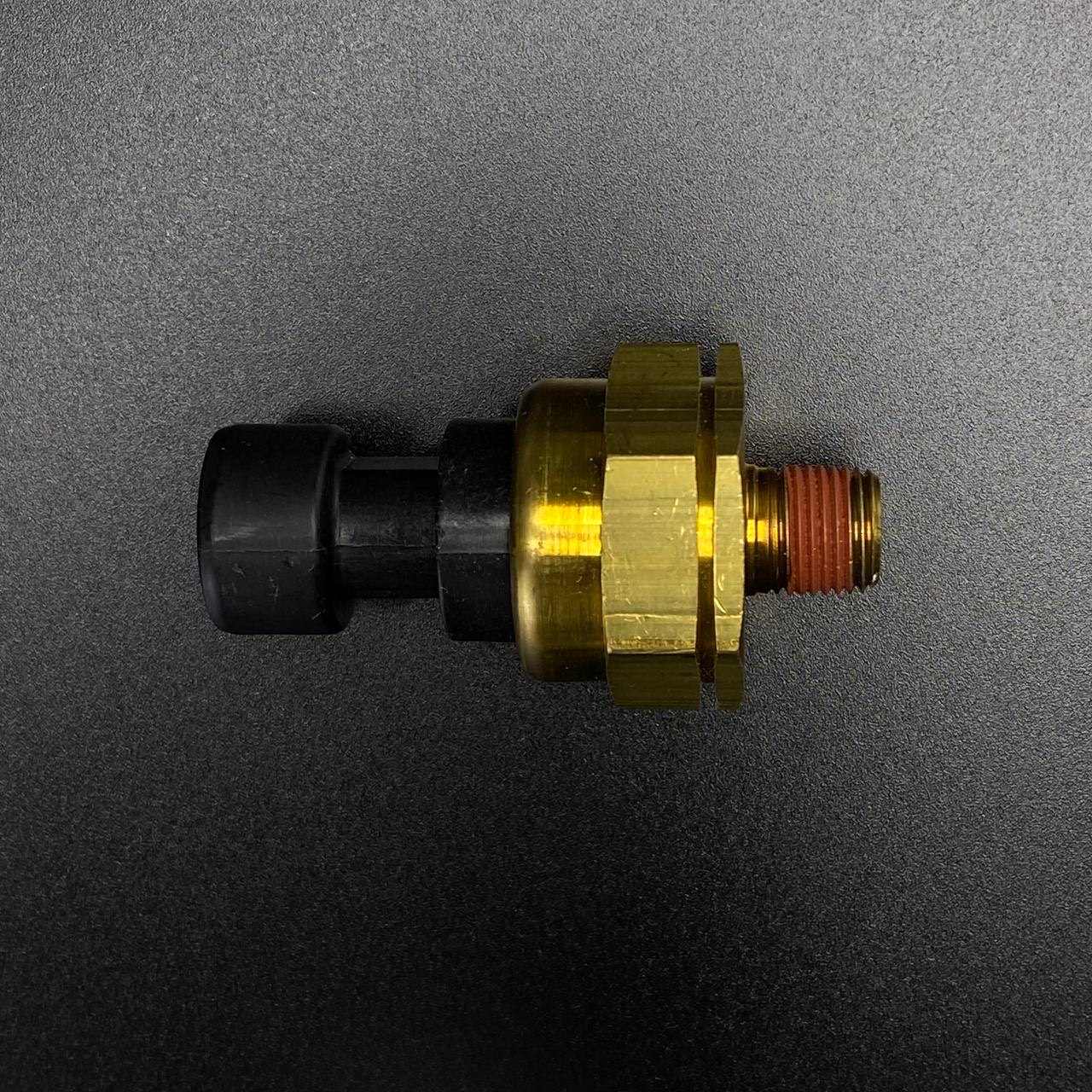 6CCBA421-6F0A-4522-AA74-B3B7F531587F