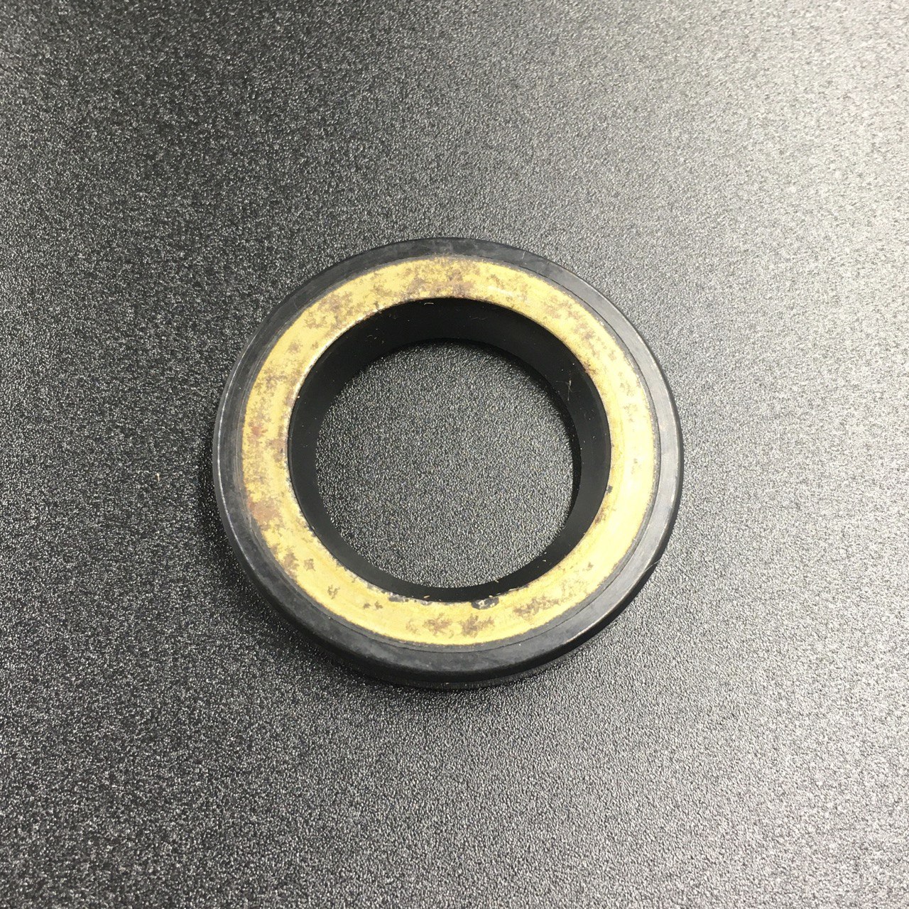 photo5240074781221564624