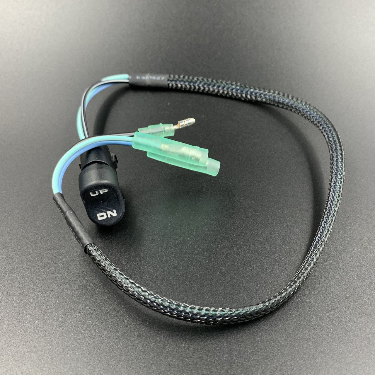 photo5294025381550076449