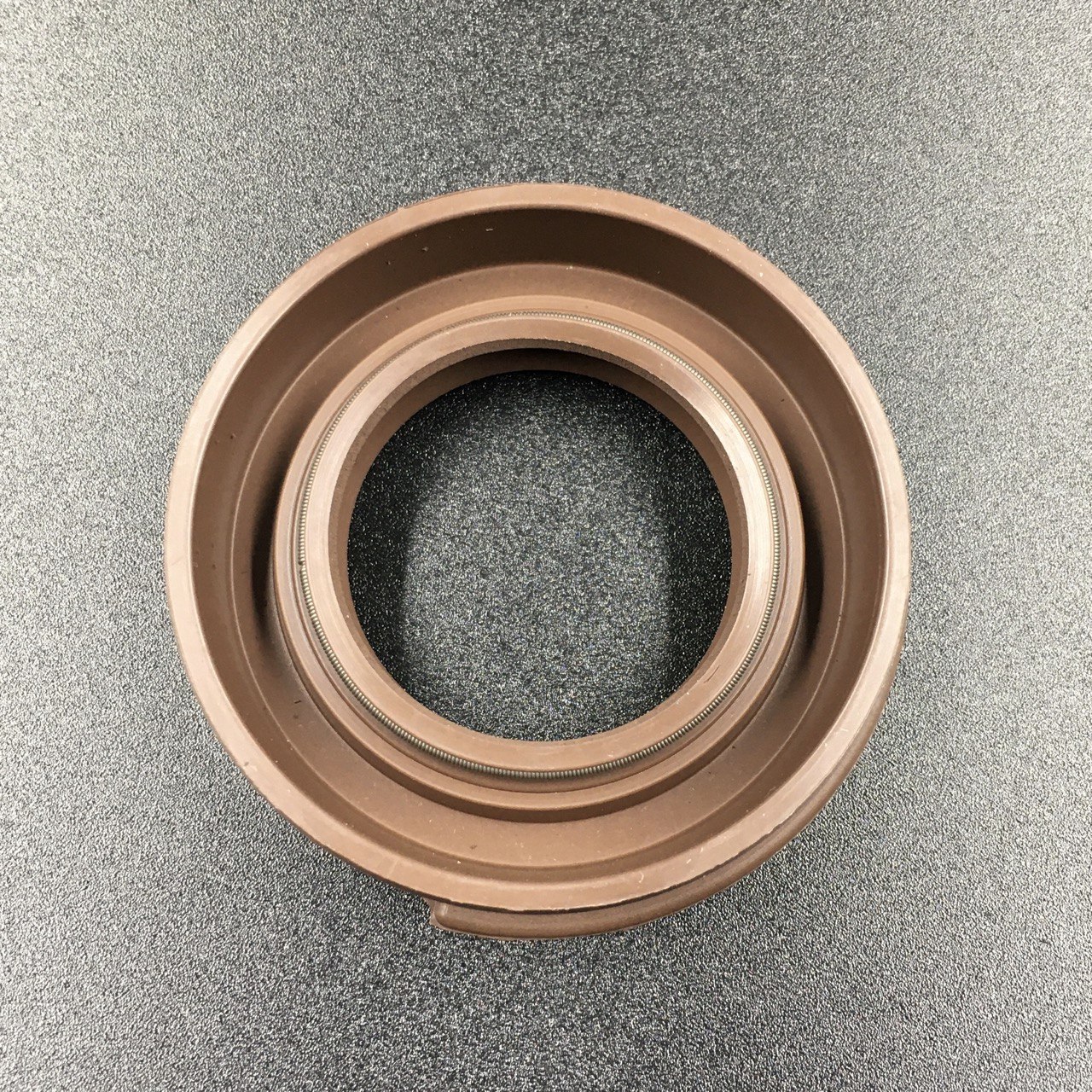 photo5204468742128512941