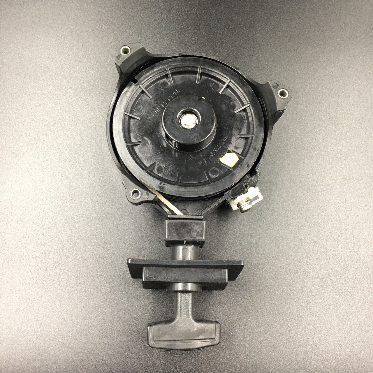 photo5453995613197806965