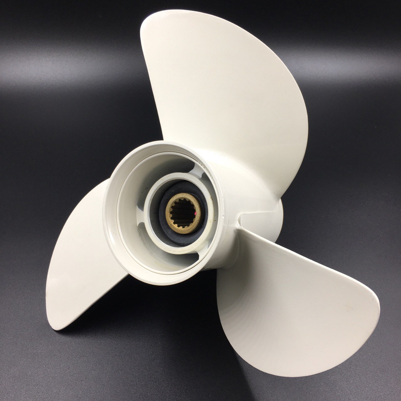 photo5222096958653575262