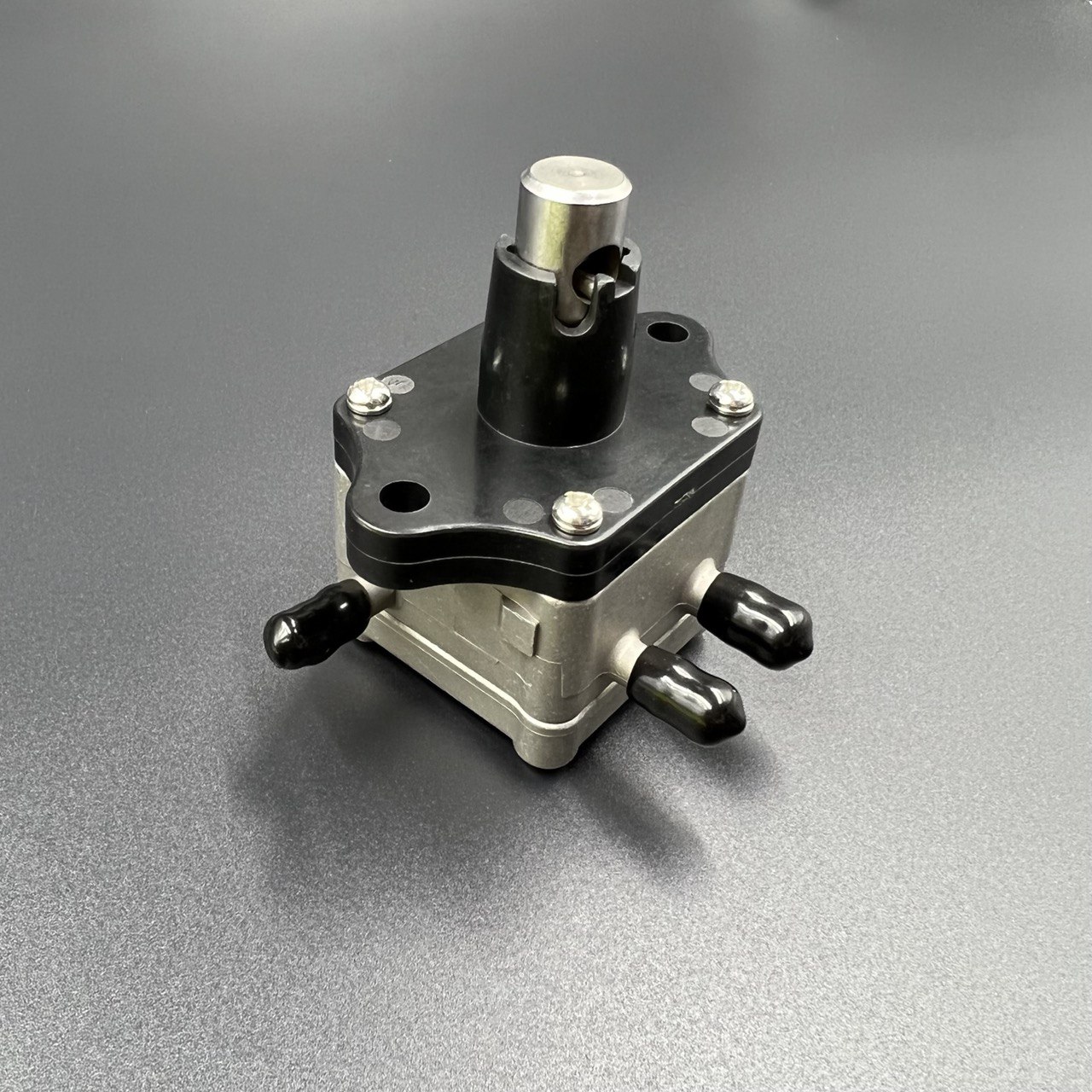 photo_2022-06-24_16-08-35