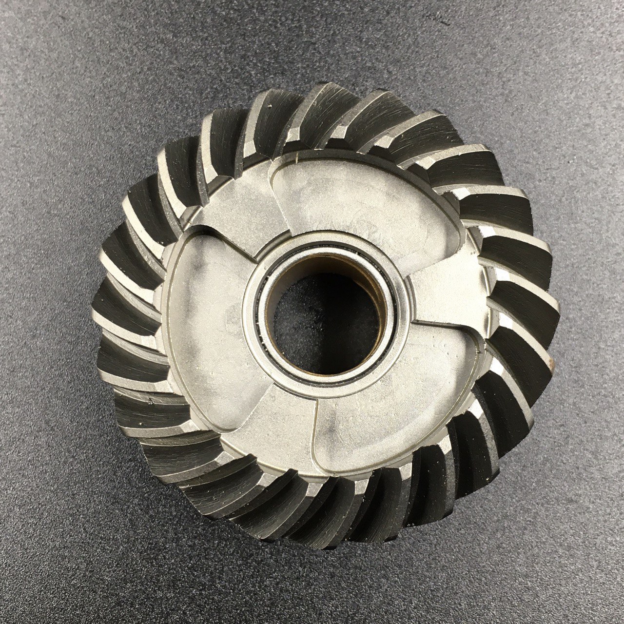 photo5325704978720992720