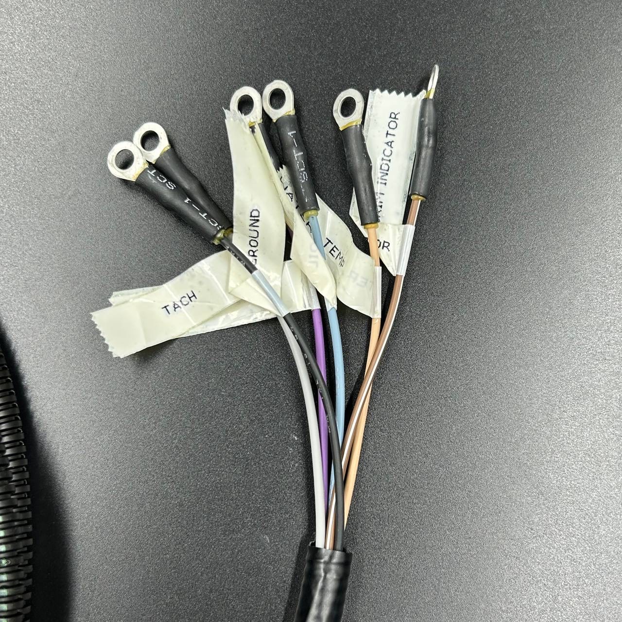 55D3501C-E01B-4AF1-96A7-0932B2966298