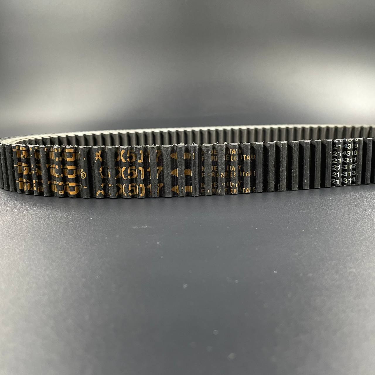 photo_5291800854778751004_y