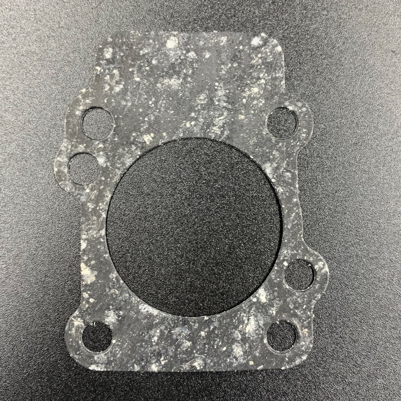 photo5424984986014035532