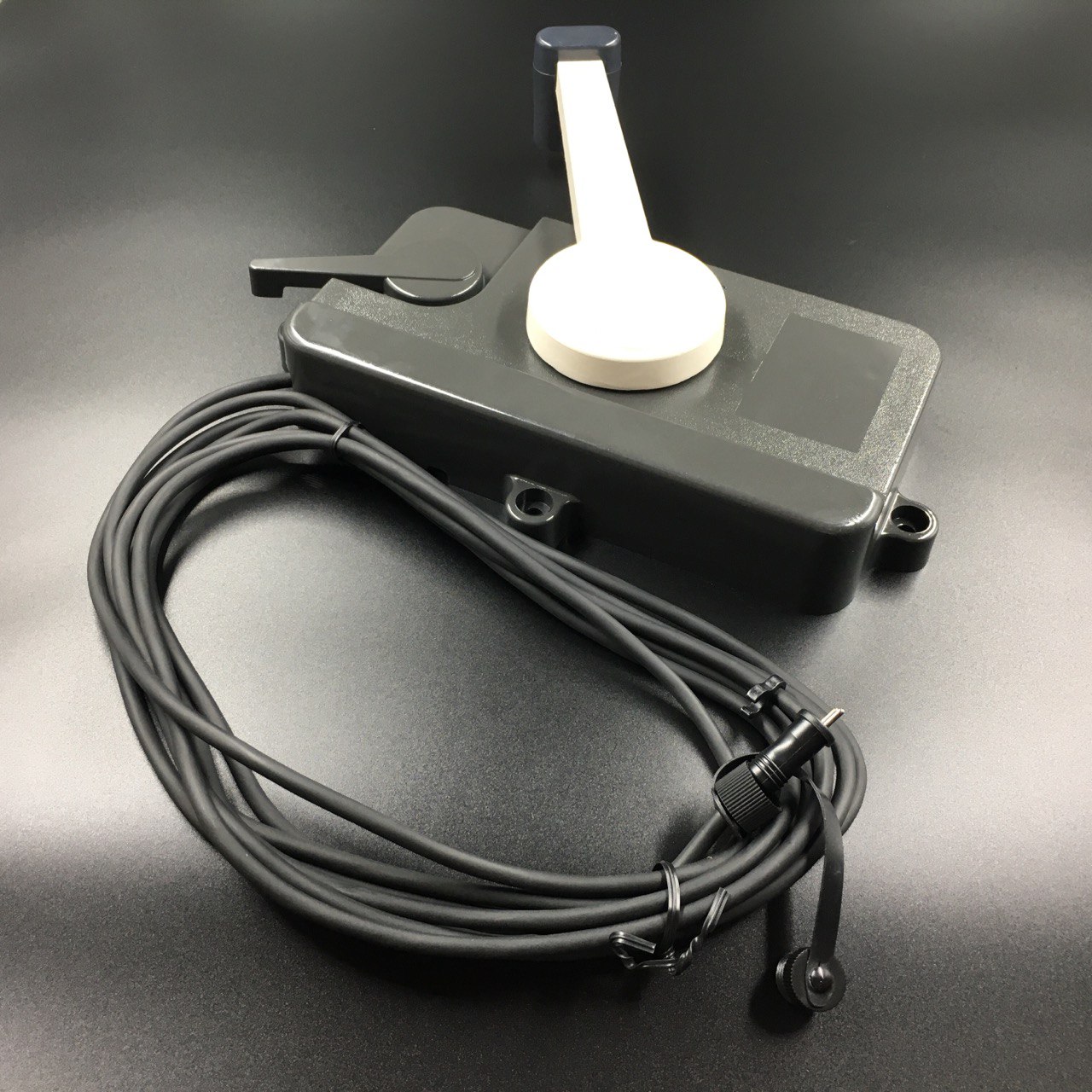 photo5246943357345836749