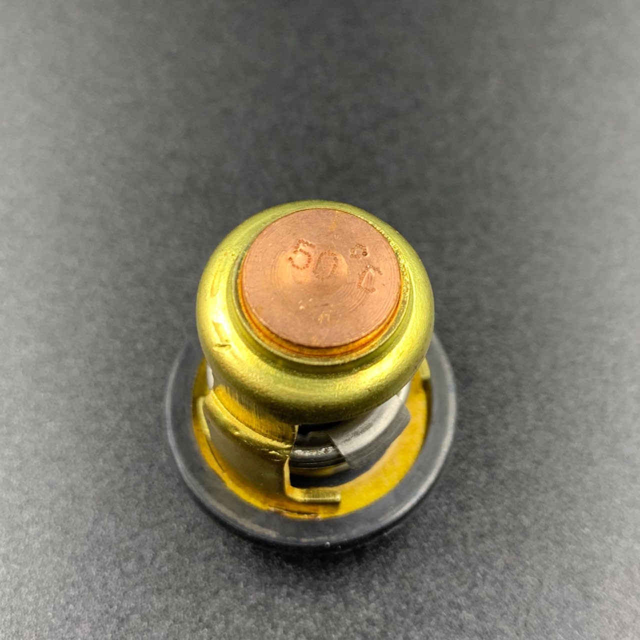 photo5424984986014035572