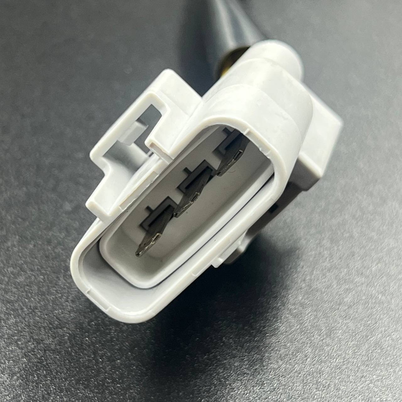 A931D3E1-62C5-4943-AB31-A6EC172D1811