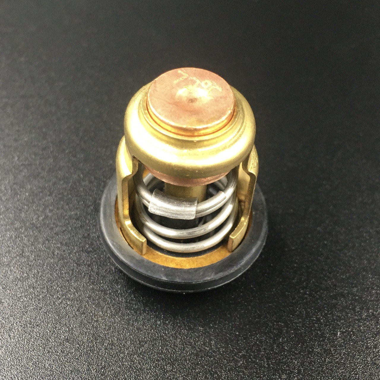 photo5240074781221564584