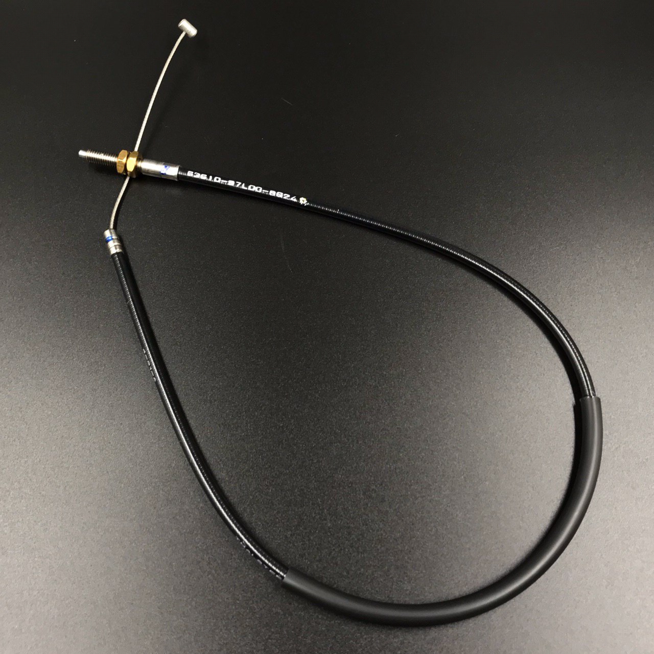 photo5319159139324243359