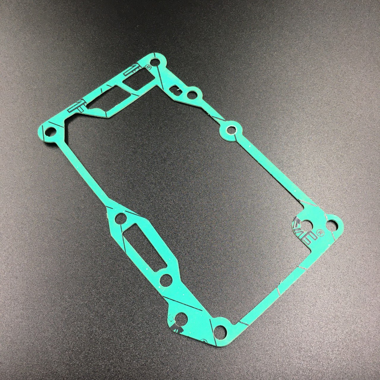 photo5309941327758209094