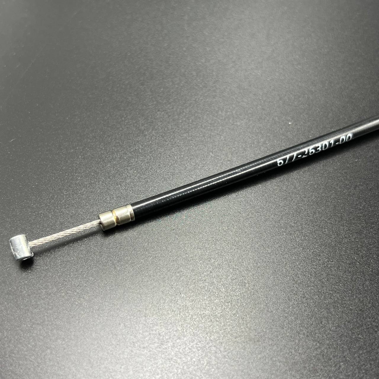 IMAGE 2023-08-07 09 21 36