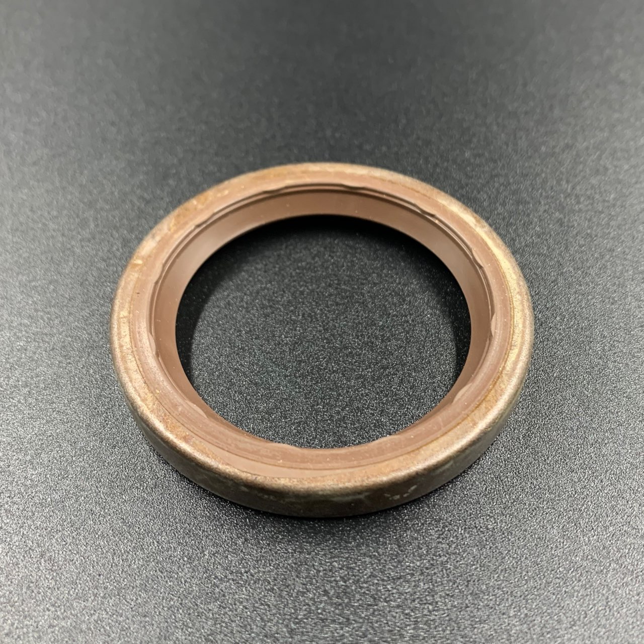 photo5424984986014035349