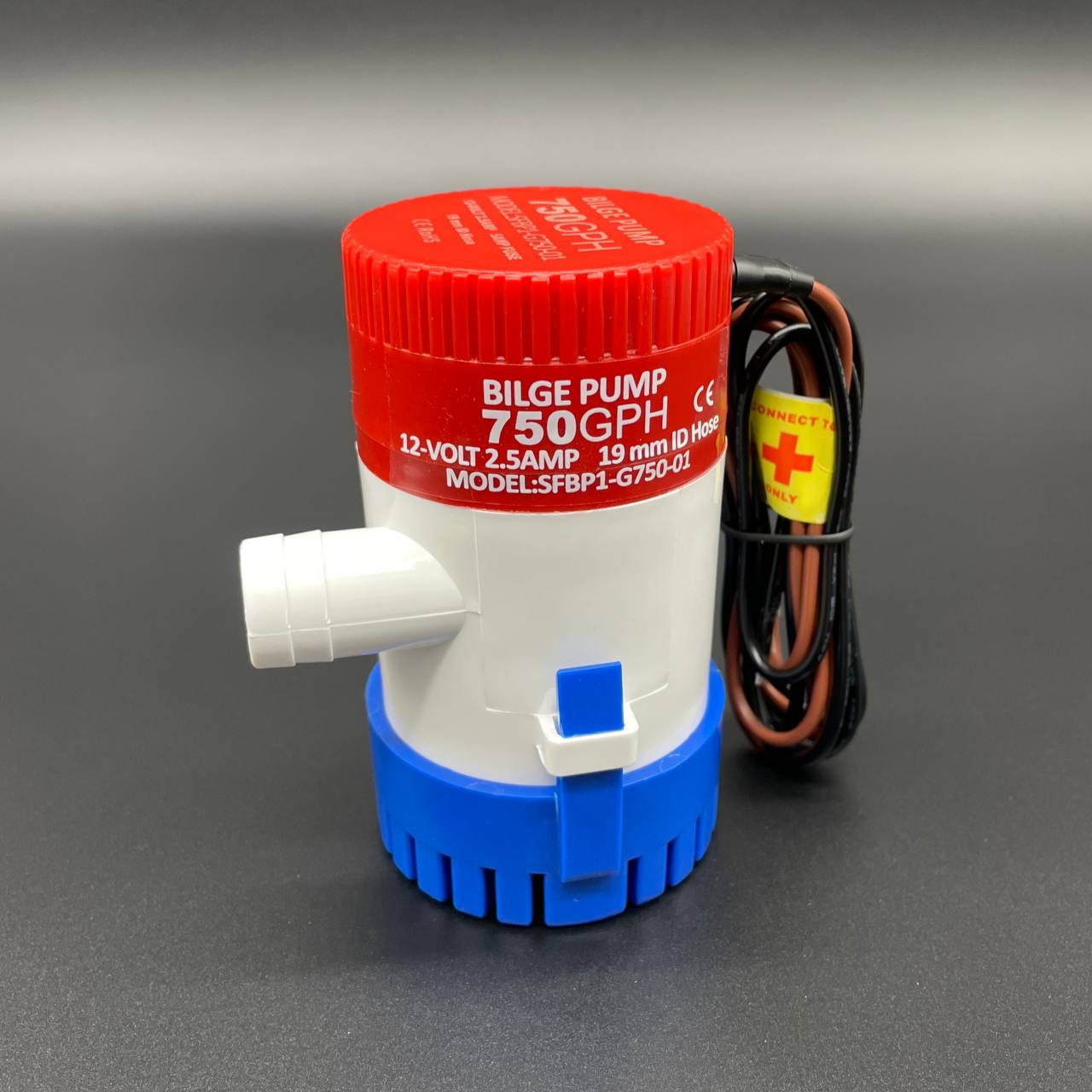 photo5290000172560003704