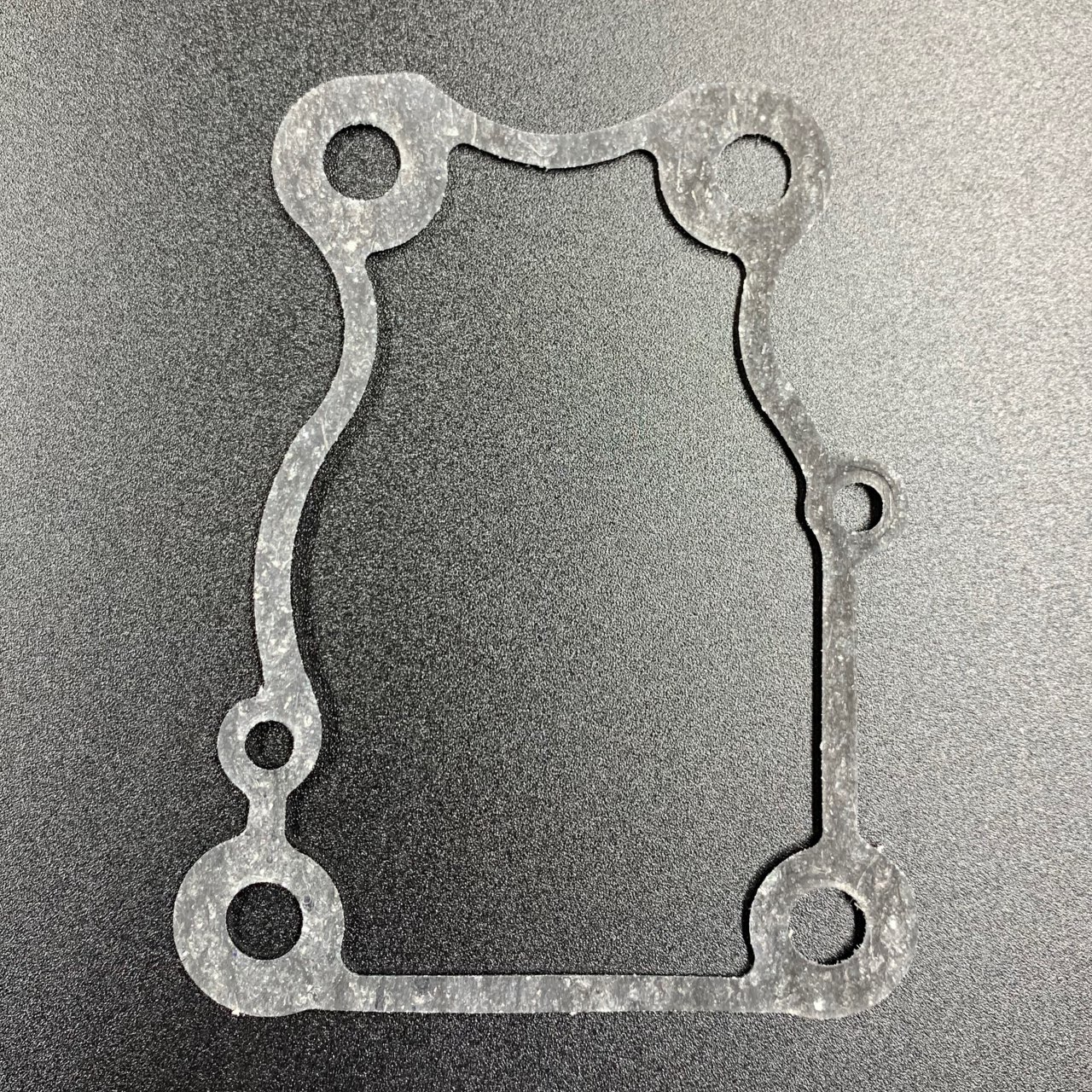 photo5424984986014035569