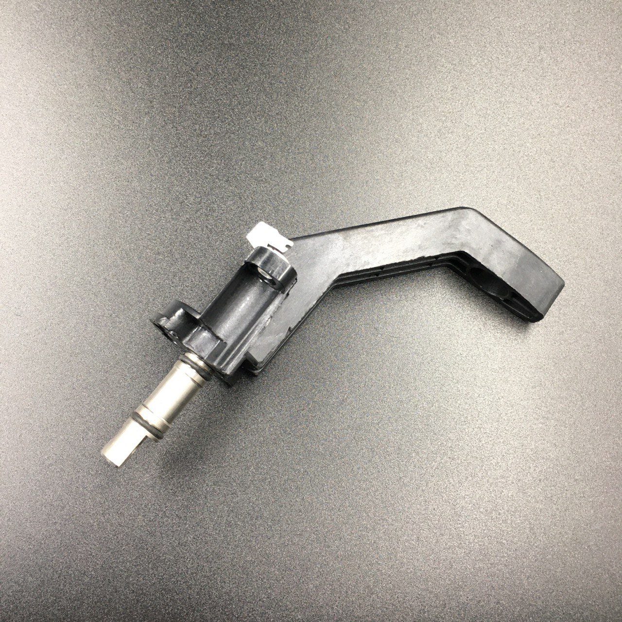 photo5444868885003219025