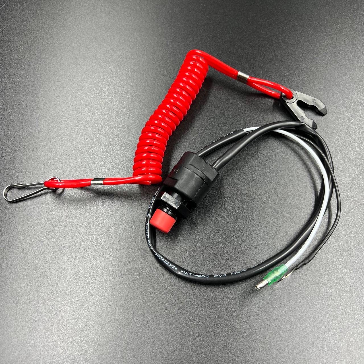 D941C4A3-E531-4B65-865C-2E80DB555EA5