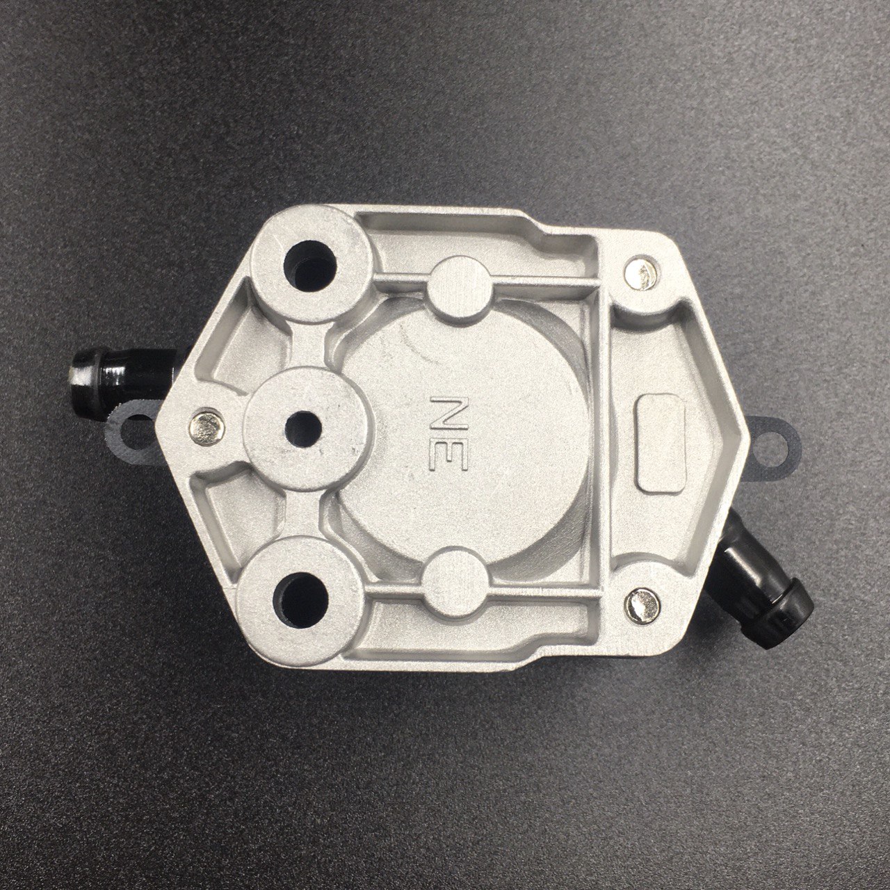 photo5240074781221564572