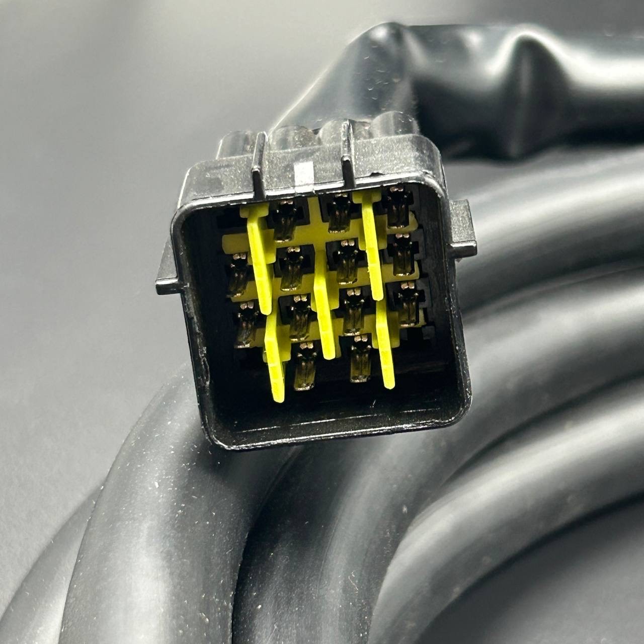 A3EEEE5A-FF81-4492-B254-1445E5001970