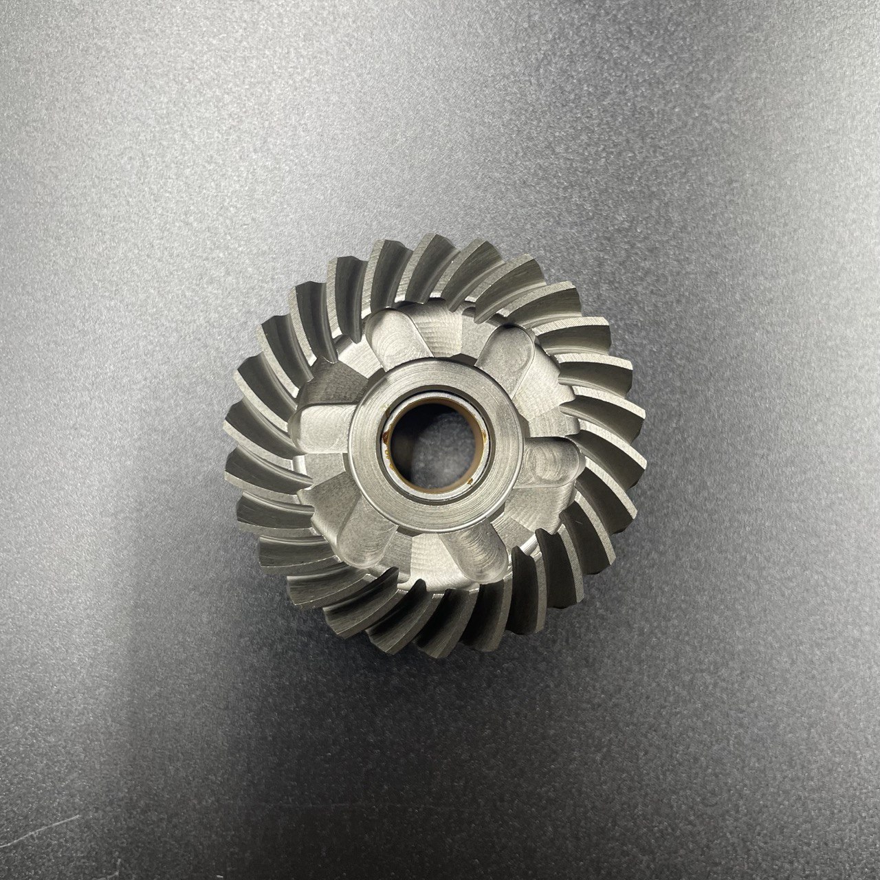 photo_2023-06-15_21-01-27