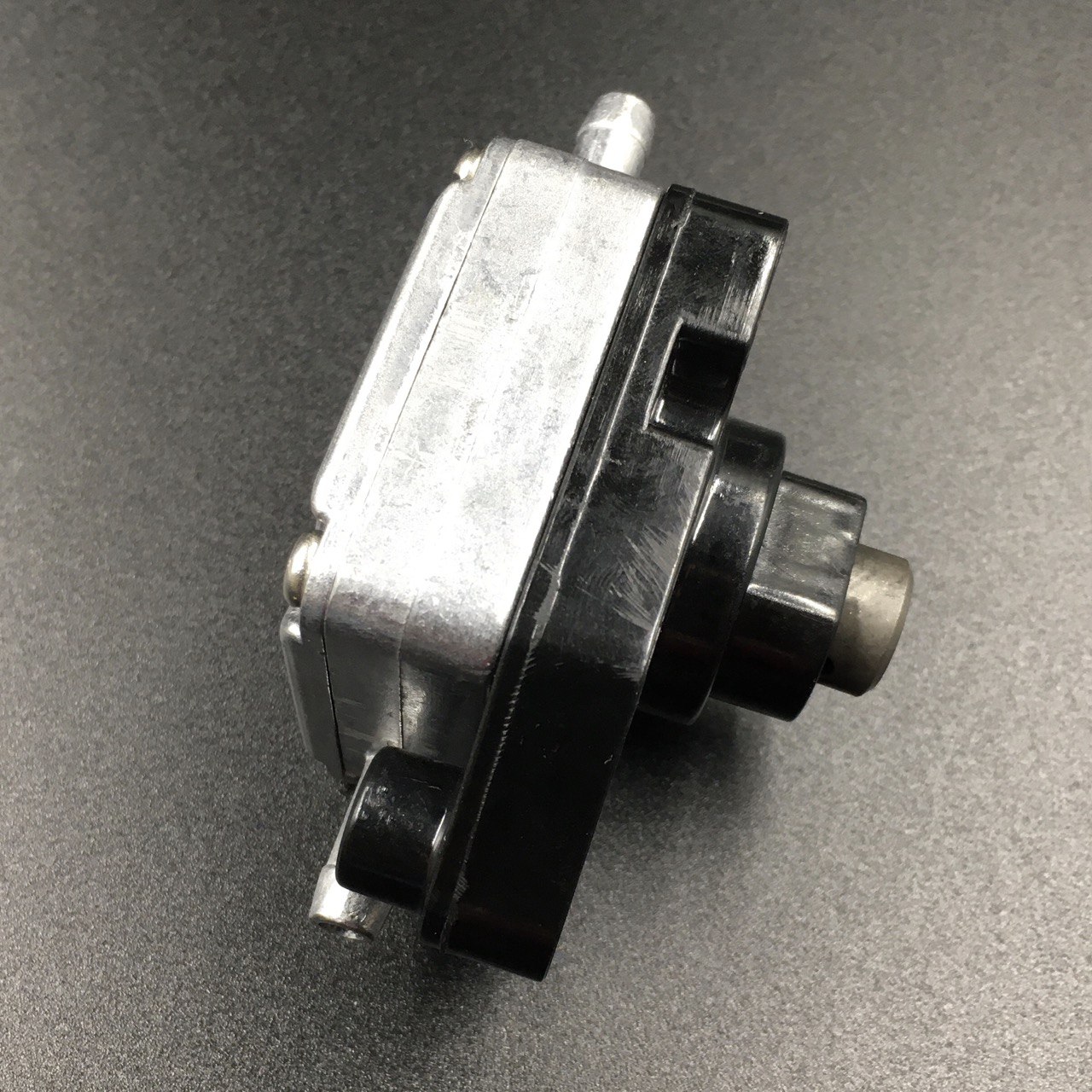 photo5449372484630588932