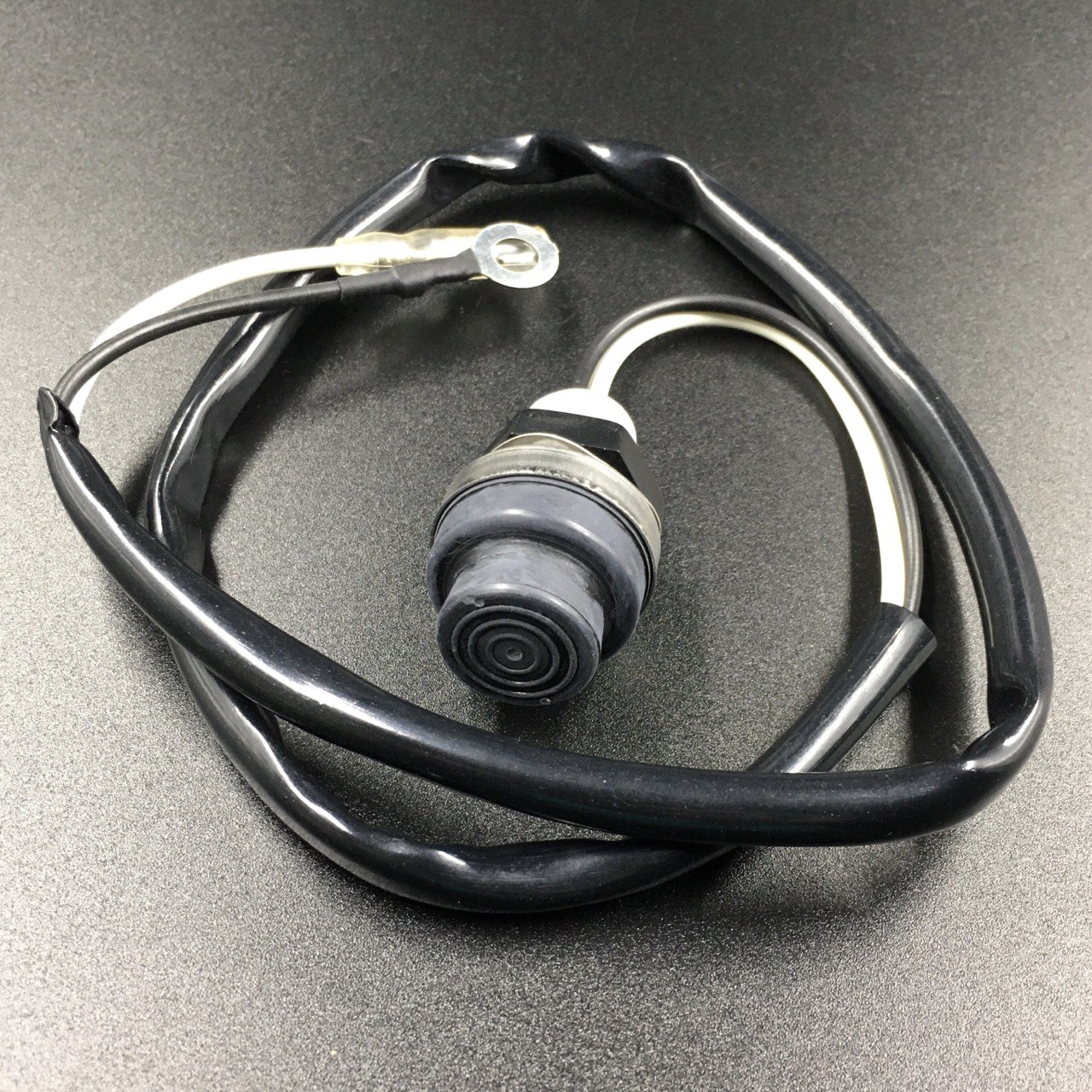 photo5370688503379243847