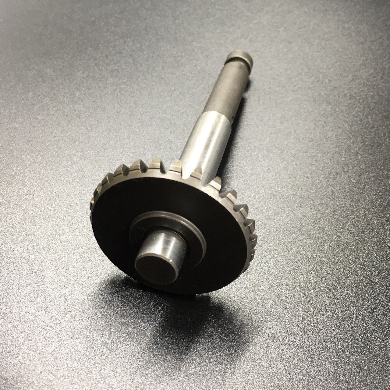 photo5460672440507149737