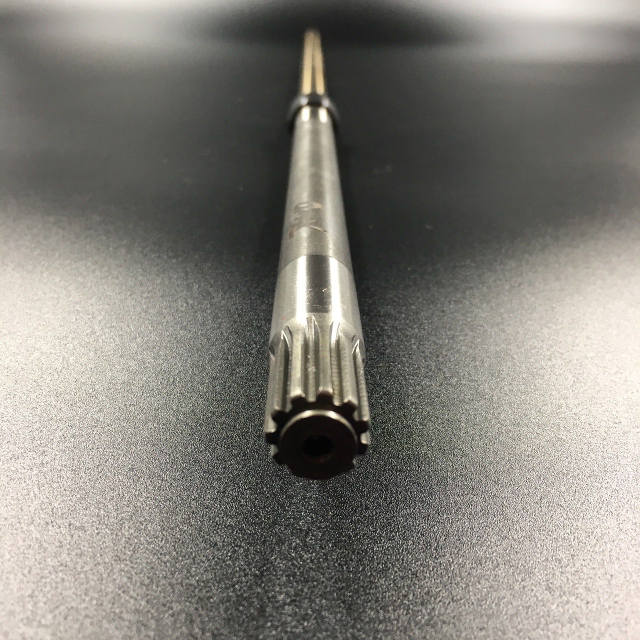 photo5435907560294165986