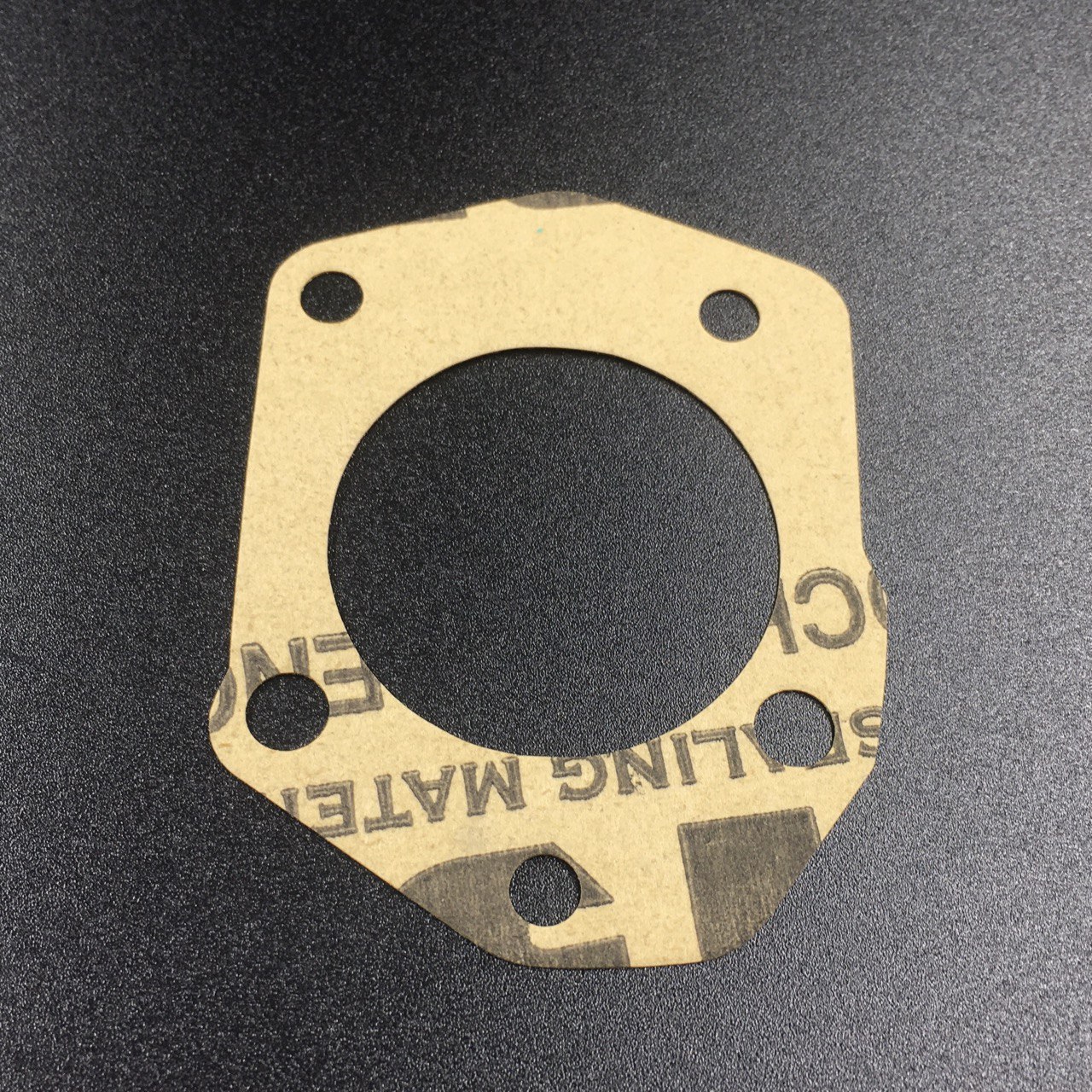 photo5240074781221564585