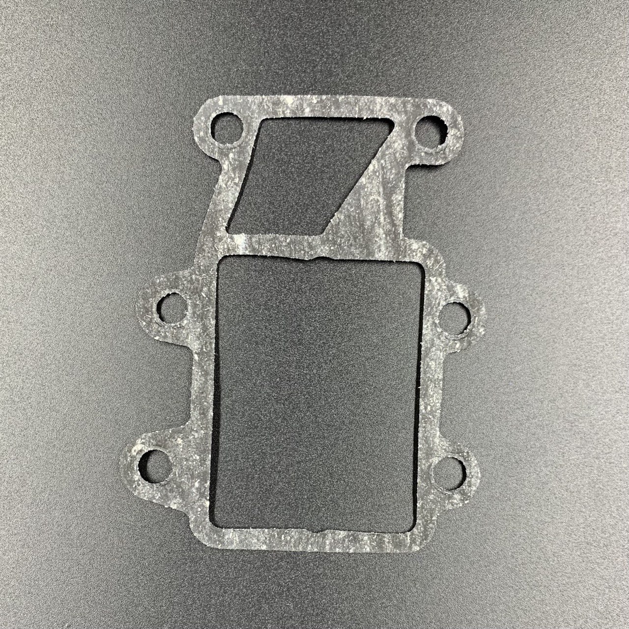 photo5231013637177586436