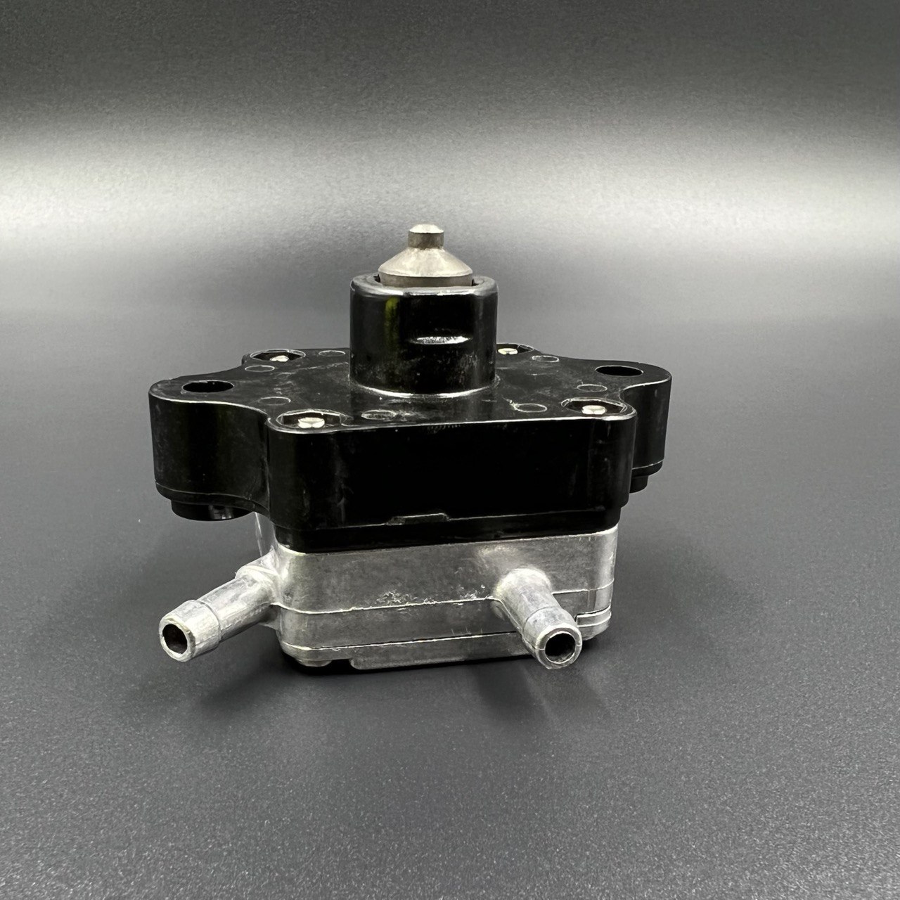 photo_2022-06-24_17-06-37