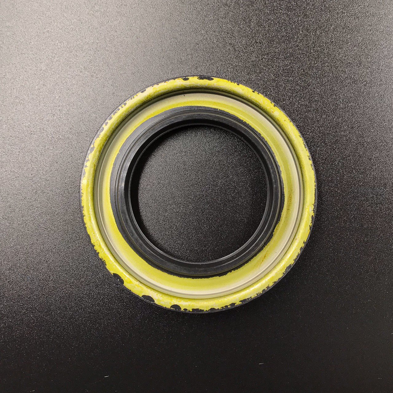 photo5316907339510558026