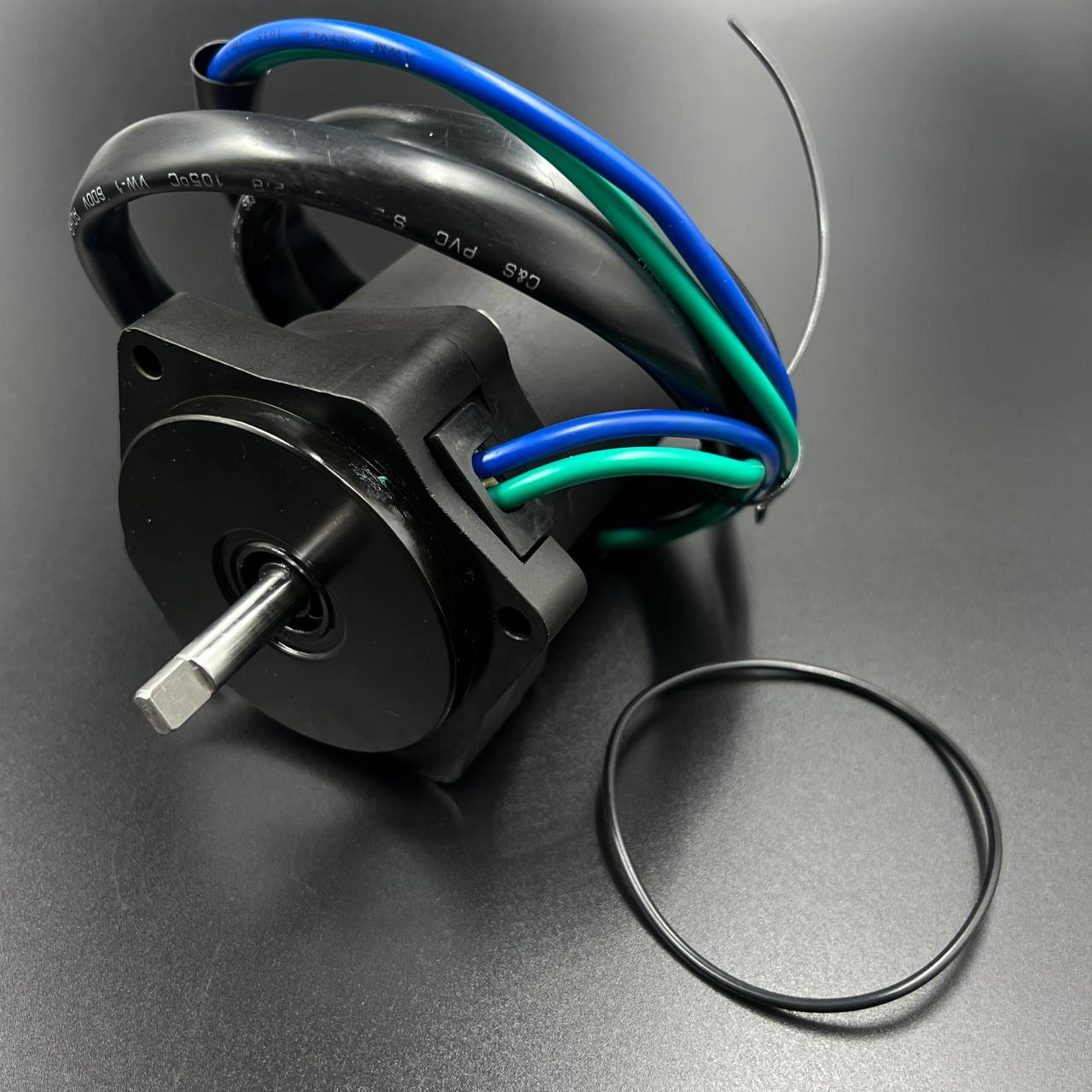 IMAGE 2023-08-29 03 41 56