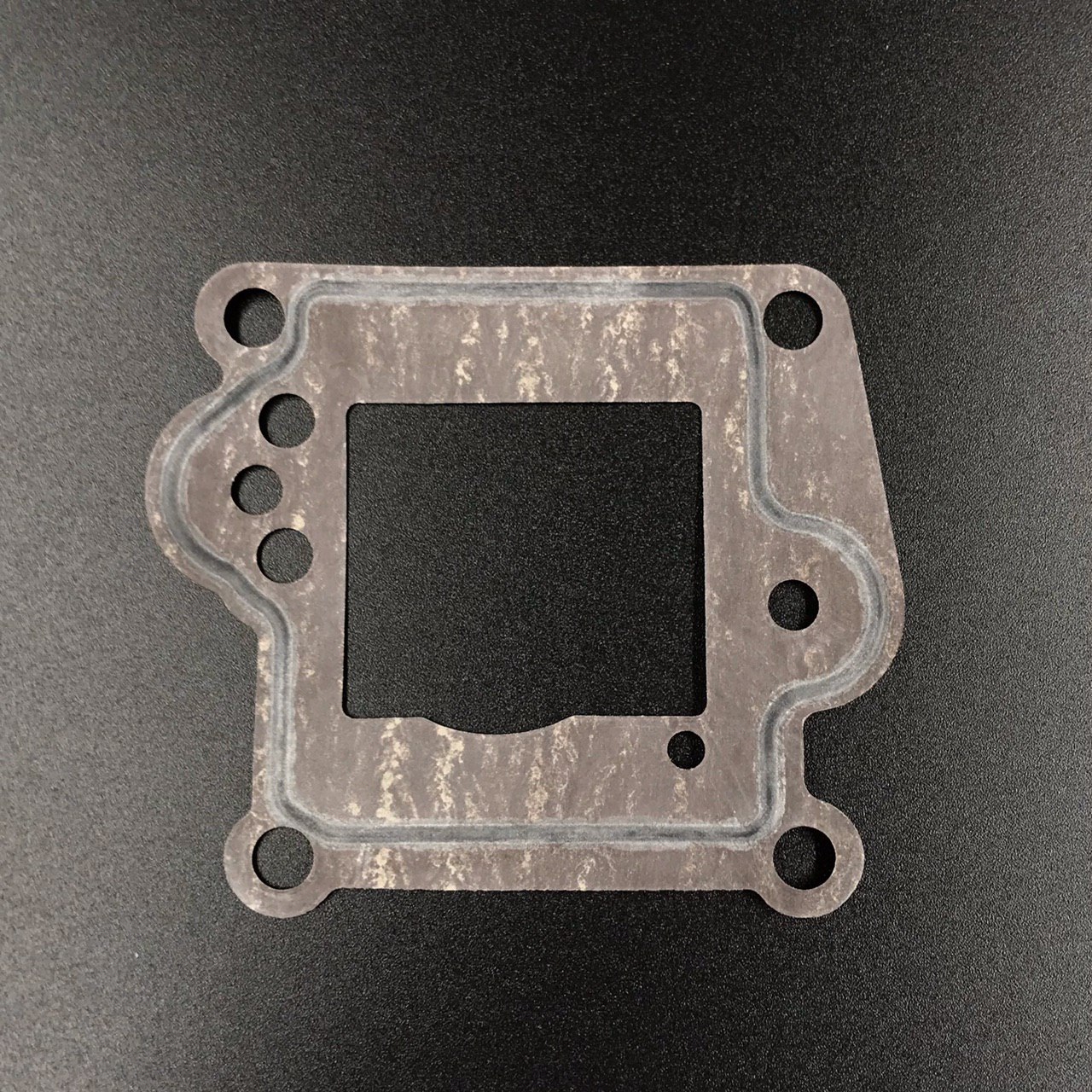 photo5307517879576538720