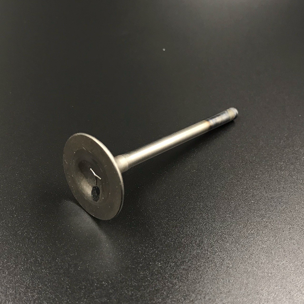 photo5309769679390223931