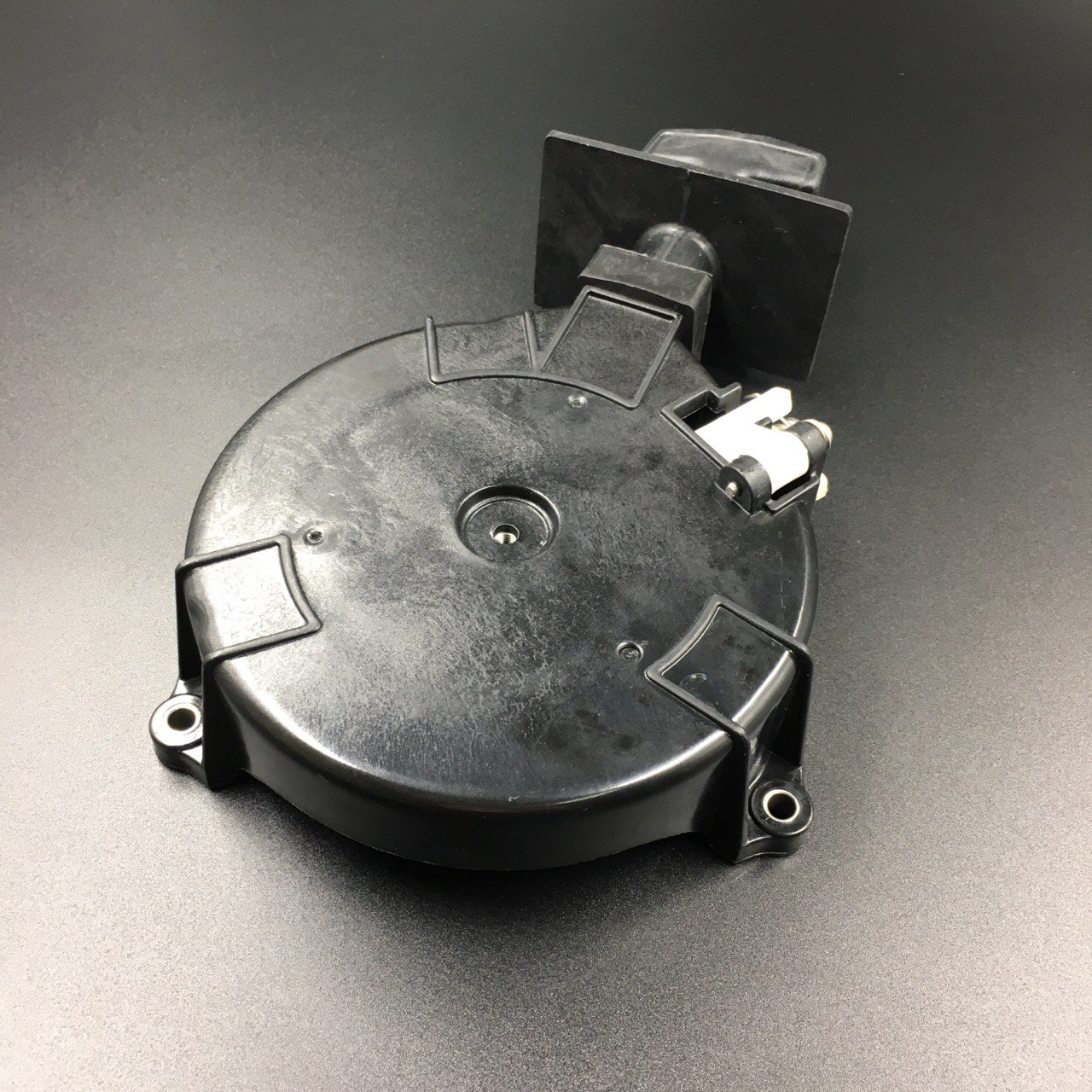 photo5453995613197806964