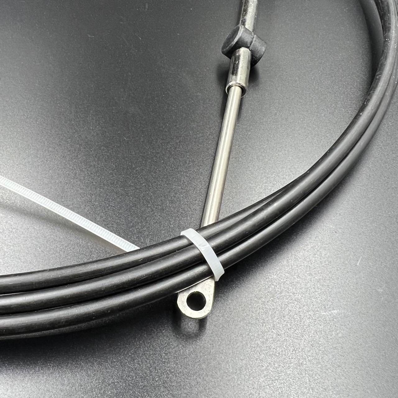 3874E972-391C-45E5-B8CE-E872270A8BB3