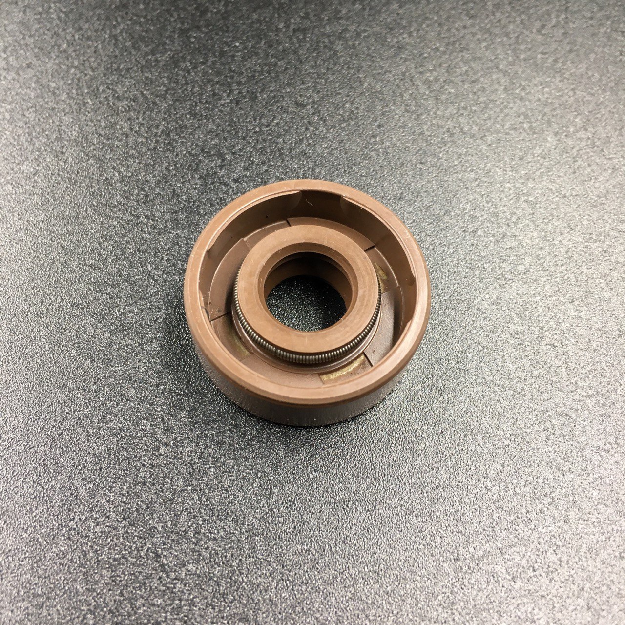 photo5447120684816903962