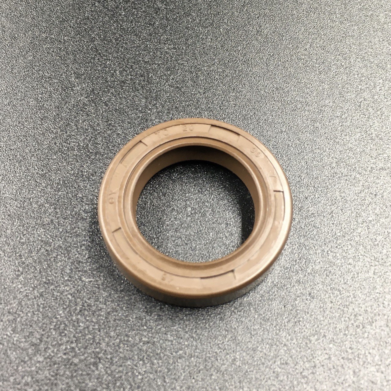 photo5449372484630588840