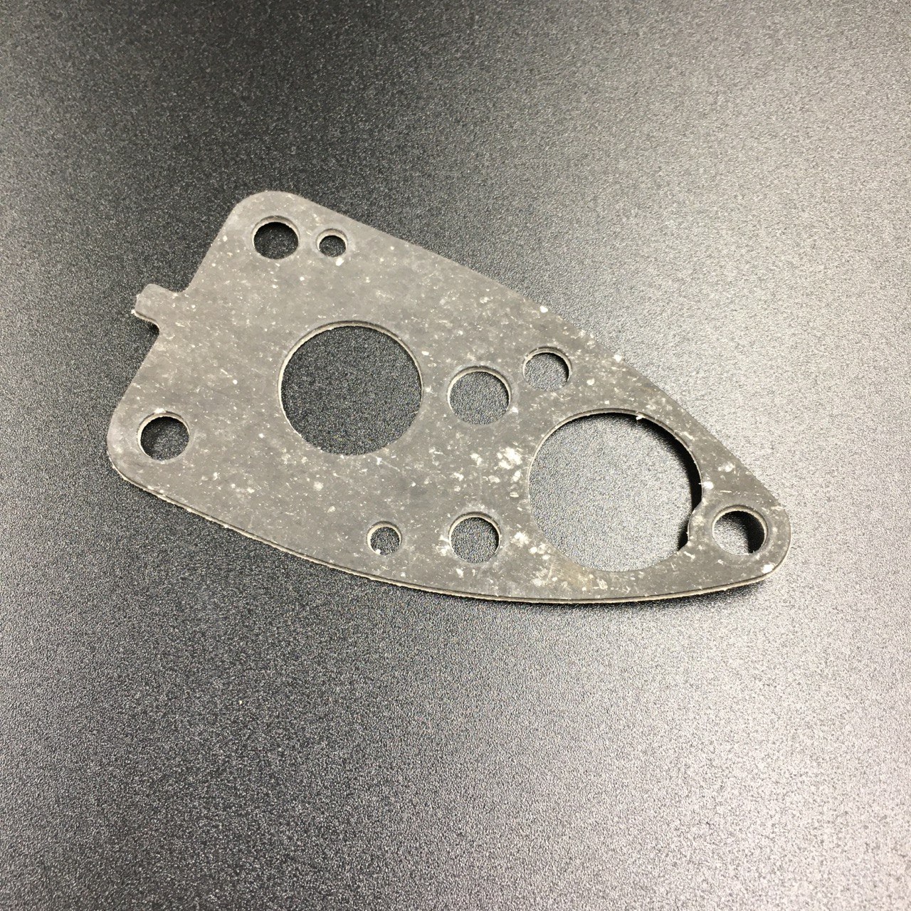 photo5435907560294165950