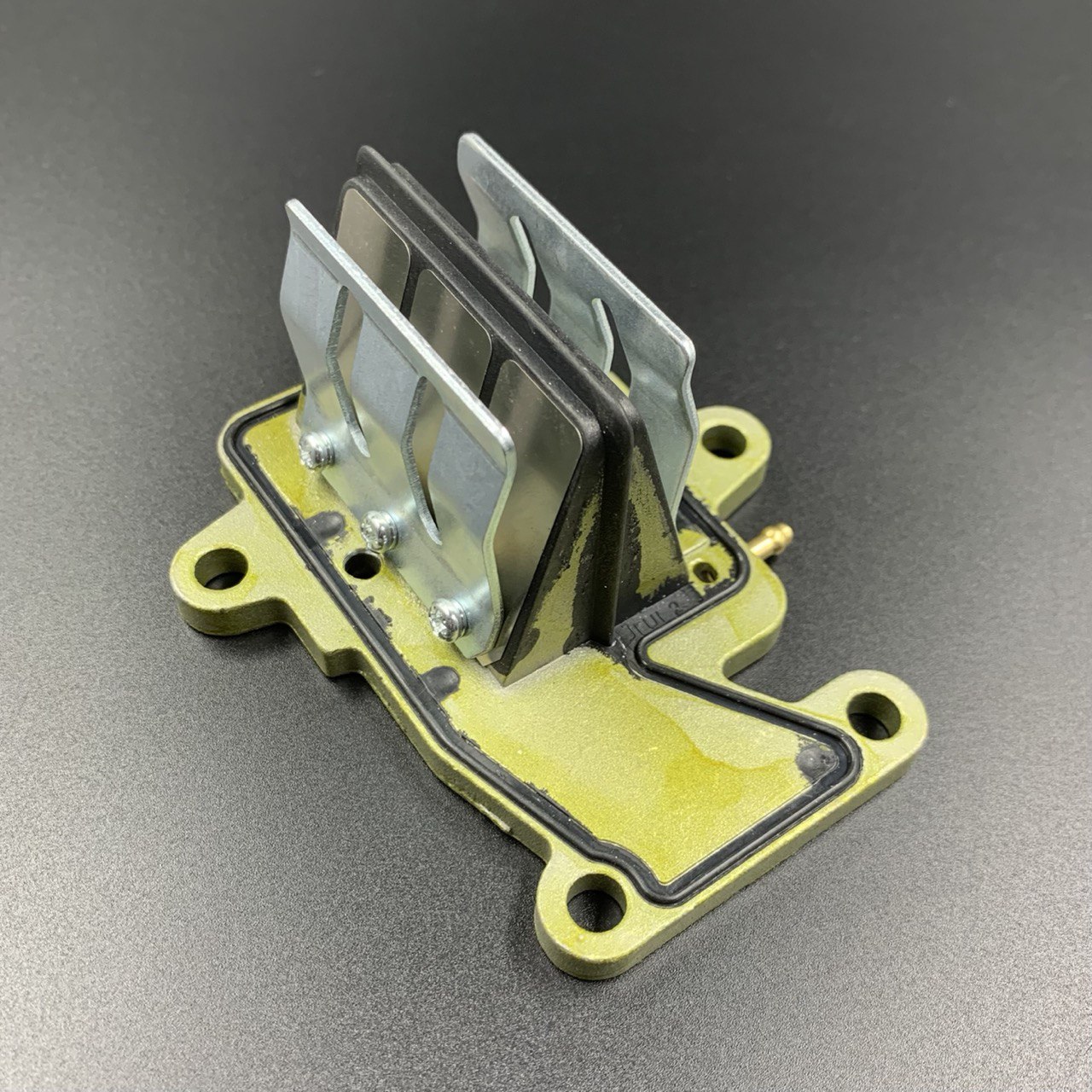 photo5440717451219284745