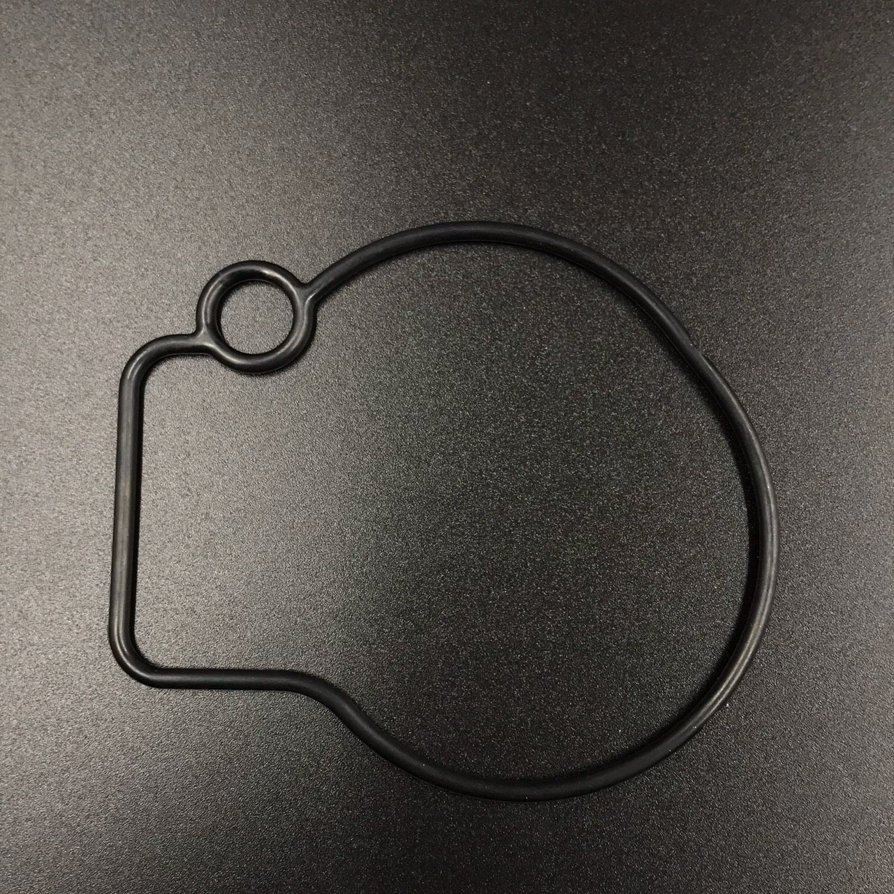 photo5307517879576538945