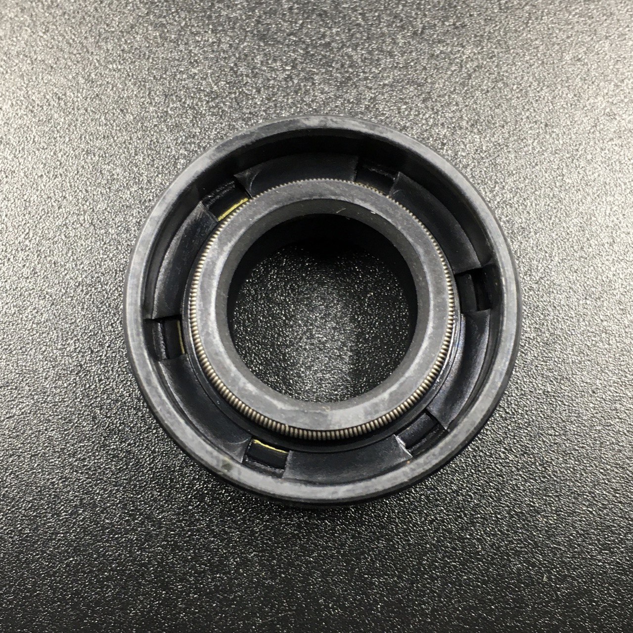 photo5219845158839889975