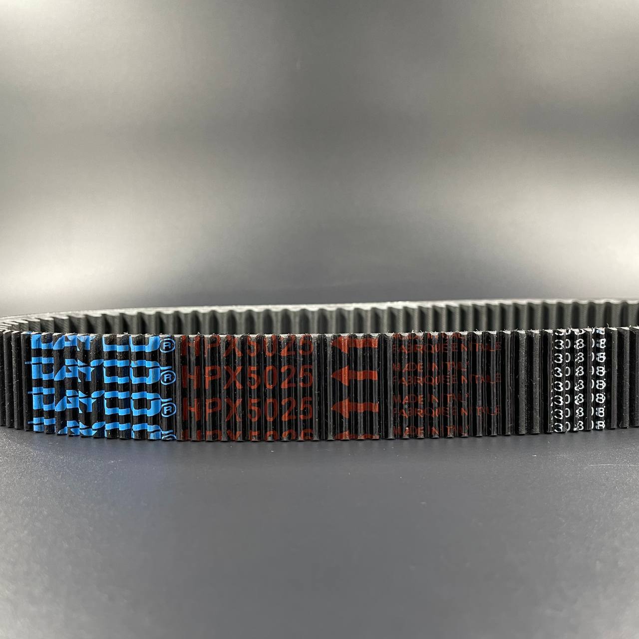 photo_5291800854778750962_y