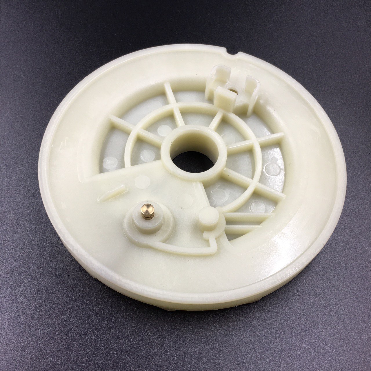 photo5444868885003218992