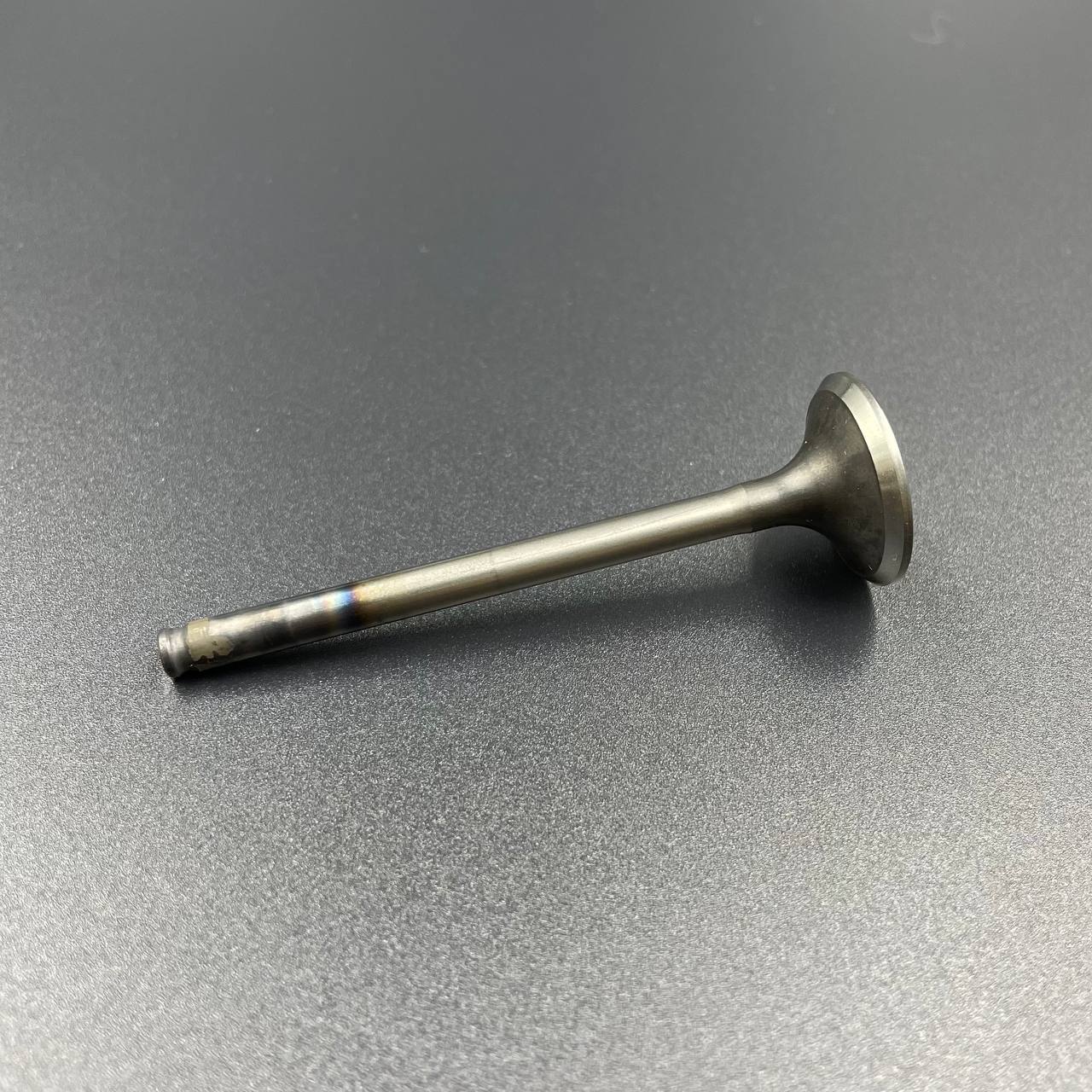 photo_2022-04-13_17-45-27