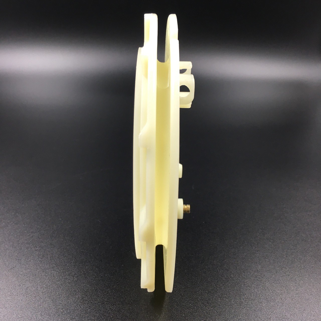 photo5444868885003218991