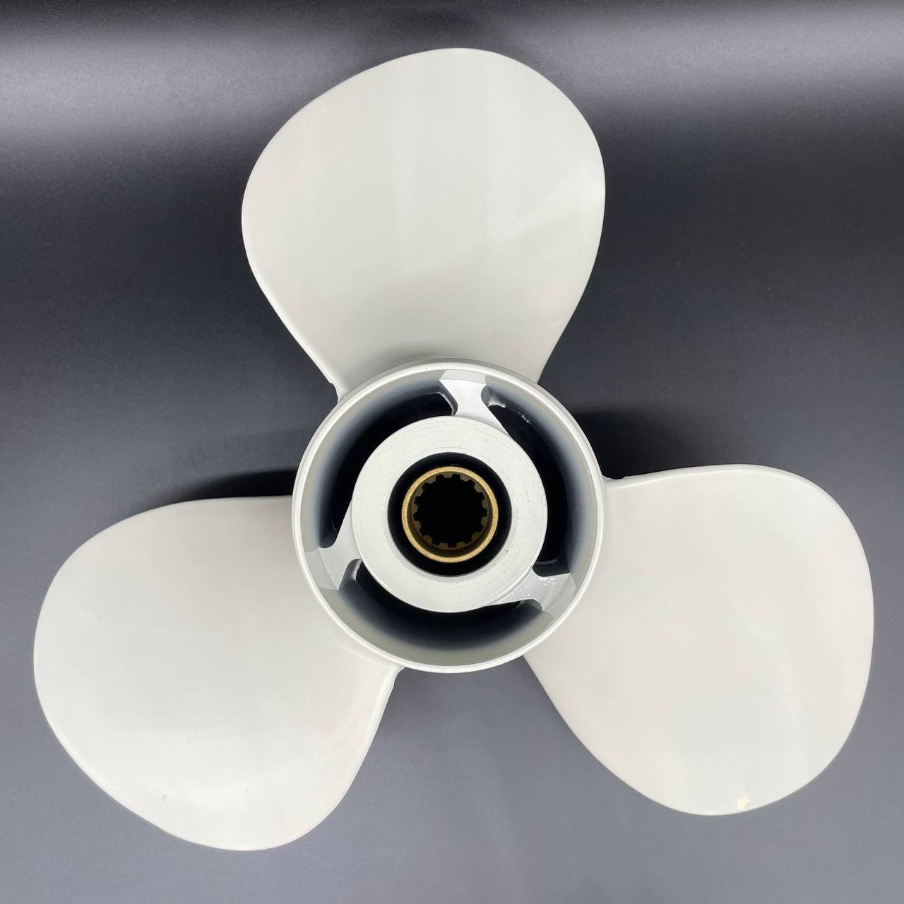 photo5296604801469100379